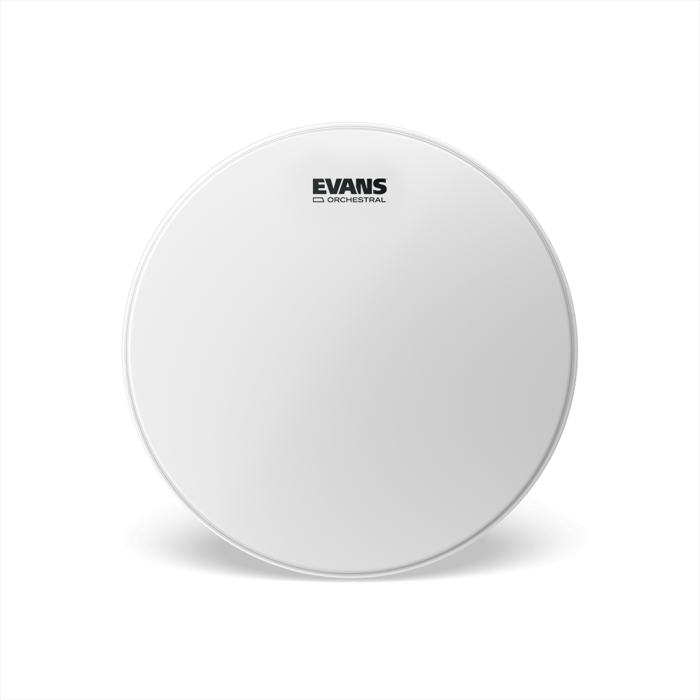 Evans Orchestral Coated Snare Drum Head, 13 Inch