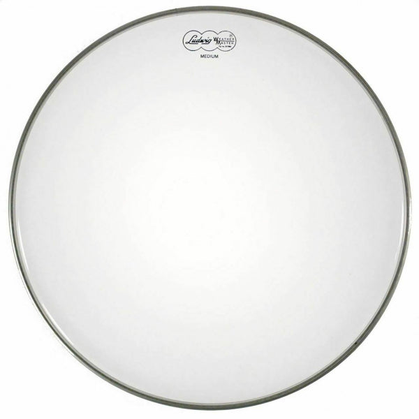 Ludwig 14 Medium Coated Snare Drum Batter Head LW3314