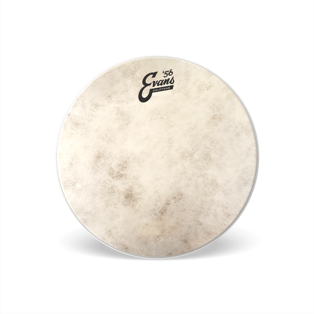 Evans Calftone Drum Head, 16 Inch
